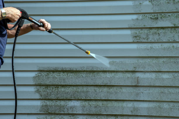Best Concrete Pressure Washing  in Lone Star, TX