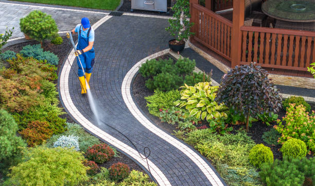 Best Affordable Pressure Washing  in Lone Star, TX