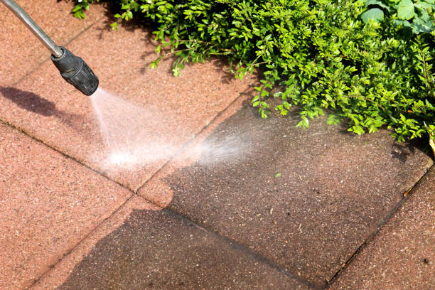 Best Affordable Power Washing  in Lone Star, TX